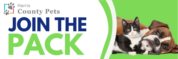 JOIN-THE-PACK